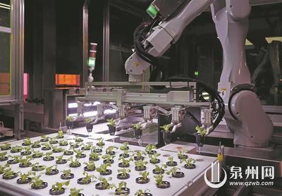 種菜不再“靠天吃飯” 無人植物工廠里的“新質(zhì)”密碼