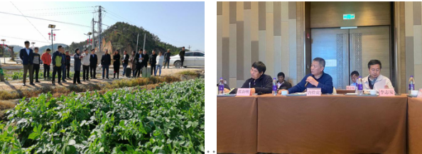 “廣東省主要經(jīng)濟(jì)作物肥料農(nóng)藥減施增效技術(shù)研究與示范”項(xiàng)目在我市惠東實(shí)施