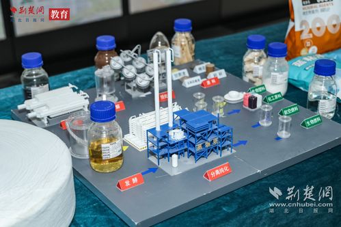 湖北大學(xué)造 菌 突圍 生物制造點(diǎn)亮 中國芯