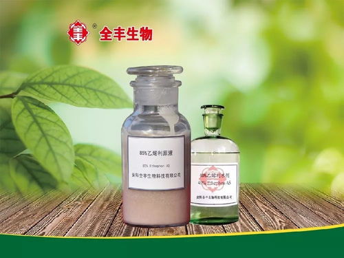 植物生長(zhǎng)調(diào)節(jié)劑在花卉上的應(yīng)用一水仙篇