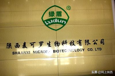 【科學(xué)發(fā)展 揚(yáng)帆遠(yuǎn)行】--麥可羅生物科技年產(chǎn)1000噸春雷霉素原料藥(二期)工程開工儀式圓滿成功
