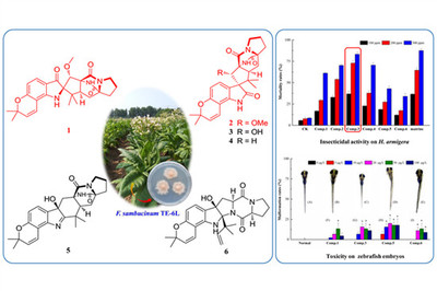 新型化合物可制造高效低毒生物農(nóng)藥