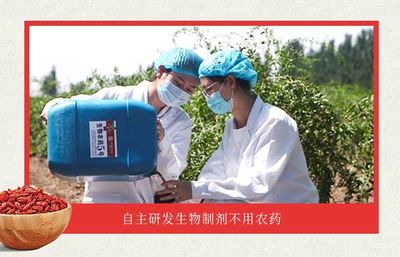 這種小果子,被外國人稱為“植物偉哥”!但我們平時都吃錯了