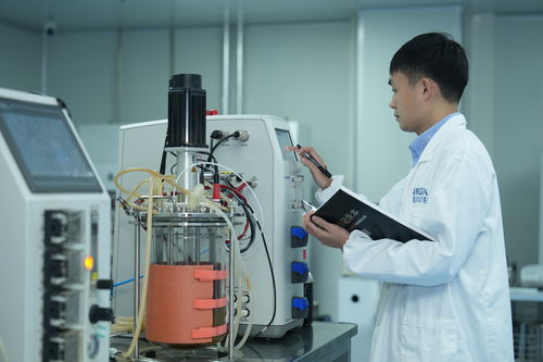 向新而行 以質(zhì)致遠丨效率提升數(shù)十倍,四川這家企業(yè)建了個 特別的工廠